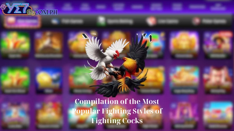 Compilation of the Most Popular Fighting Styles of Fighting Cocks