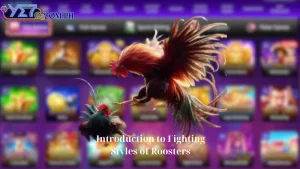 Introduction to Fighting Styles of Roosters